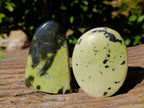 Polished Leopard Stone Standing Free Forms x 4 From Zimbabwe - Toprock Gemstones and Minerals 