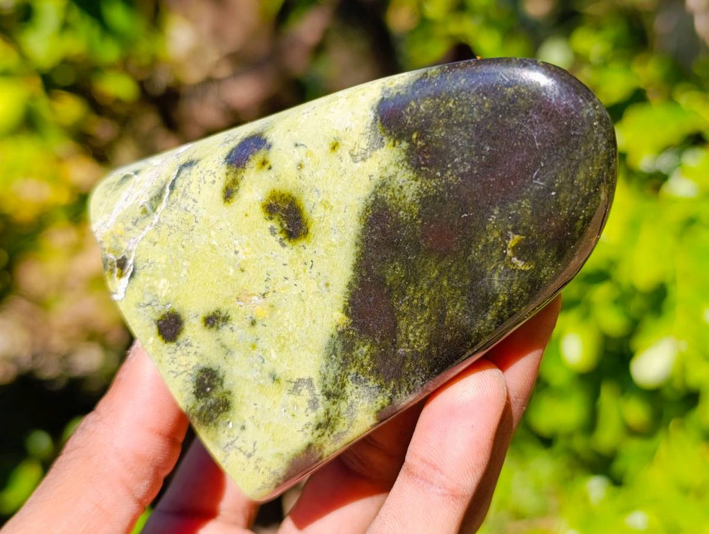 Polished Leopard Stone Standing Free Forms x 4 From Zimbabwe - Toprock Gemstones and Minerals 