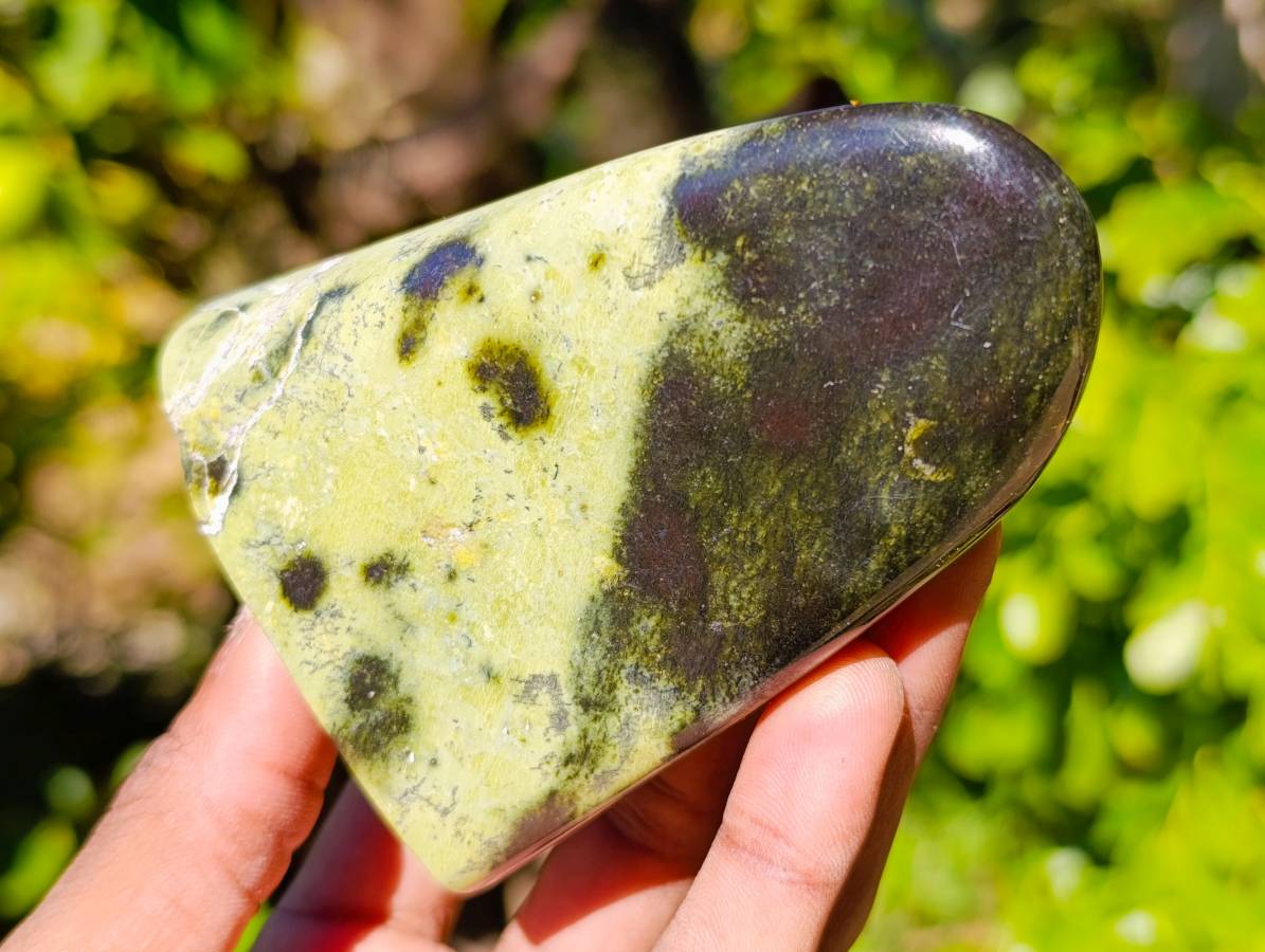 Polished Leopard Stone Standing Free Forms x 4 From Zimbabwe - Toprock Gemstones and Minerals 