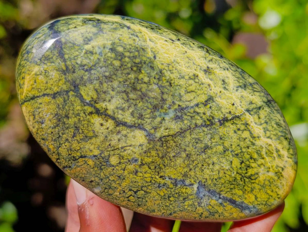 Polished Leopard Stone Standing Free Forms x 4 From Zimbabwe - Toprock Gemstones and Minerals 