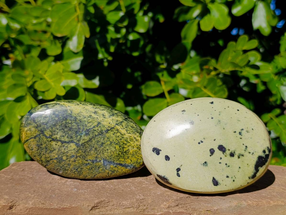 Polished Leopard Stone Standing Free Forms x 4 From Zimbabwe - Toprock Gemstones and Minerals 
