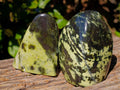 Polished Leopard Stone Standing Free Forms x 4 From Zimbabwe - Toprock Gemstones and Minerals 