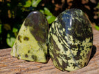 Polished Leopard Stone Standing Free Forms x 4 From Zimbabwe - Toprock Gemstones and Minerals 
