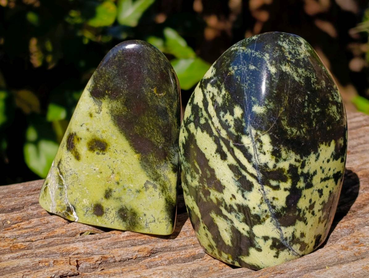 Polished Leopard Stone Standing Free Forms x 4 From Zimbabwe - Toprock Gemstones and Minerals 