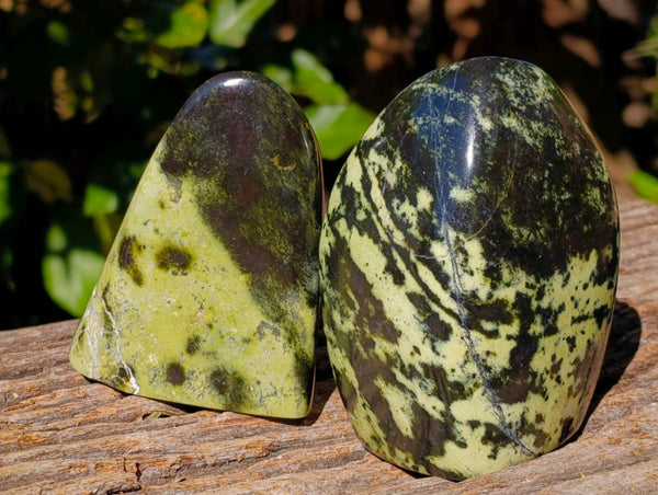 Polished Leopard Stone Standing Free Forms x 4 From Zimbabwe