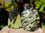 Polished Leopard Stone Standing Free Forms x 4 From Zimbabwe - Toprock Gemstones and Minerals 