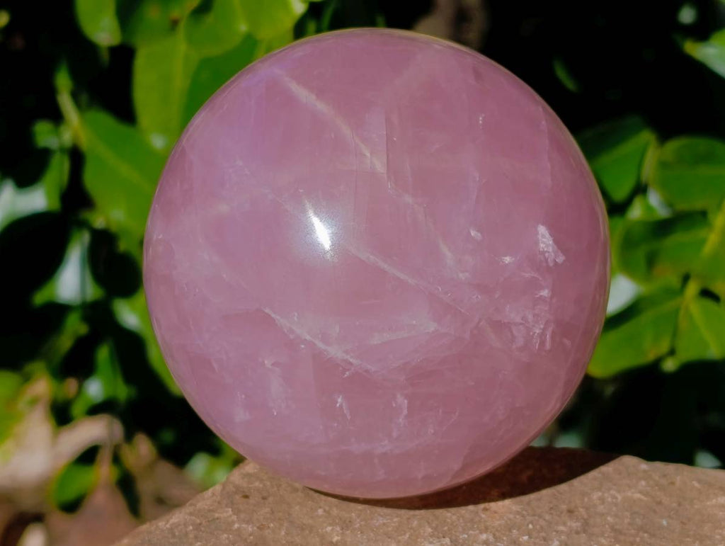 Polished Star Gemmy Rose Quartz Spheres x 2 From Madagascar - Toprock Gemstones and Minerals 