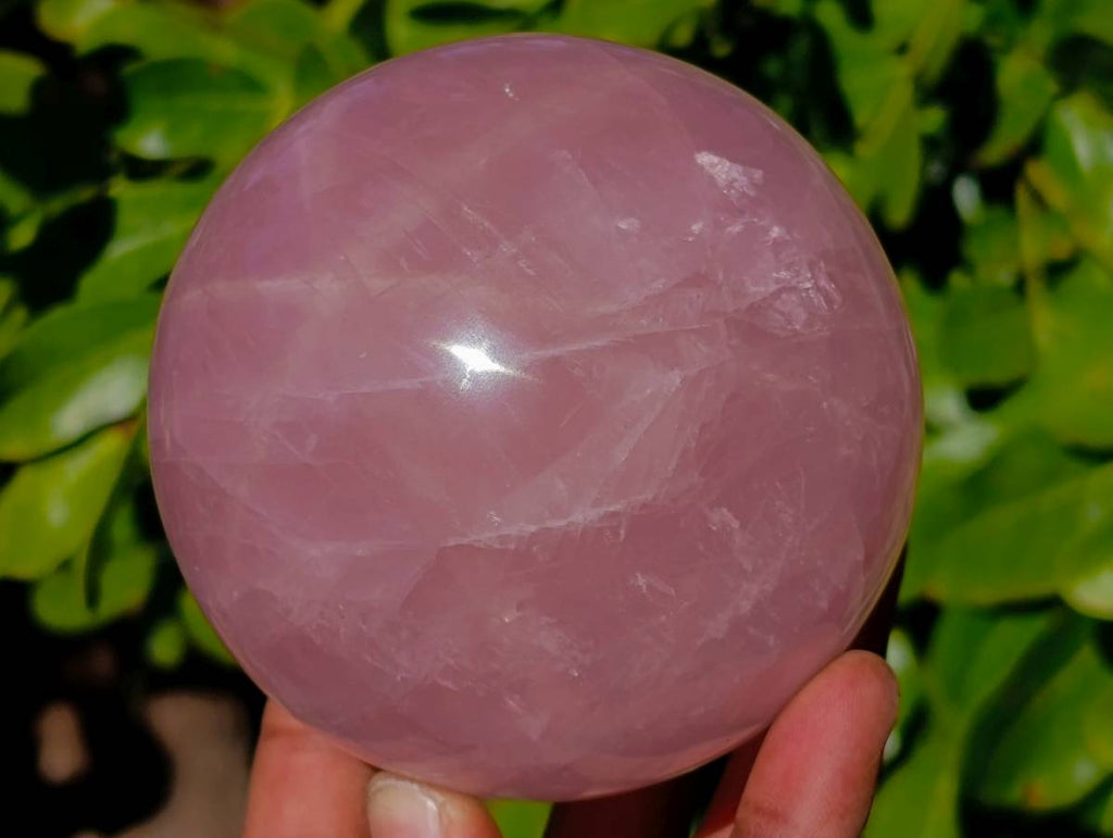 Polished Star Gemmy Rose Quartz Spheres x 2 From Madagascar - Toprock Gemstones and Minerals 