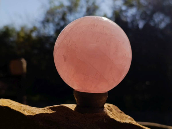 Polished Star Gemmy Rose Quartz Spheres x 2 From Madagascar