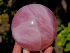 Polished Star Gemmy Rose Quartz Spheres x 2 From Madagascar - Toprock Gemstones and Minerals 