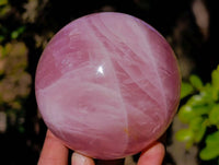 Polished Star Gemmy Rose Quartz Spheres x 2 From Madagascar