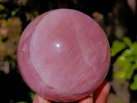 Polished Star Gemmy Rose Quartz Spheres x 2 From Madagascar