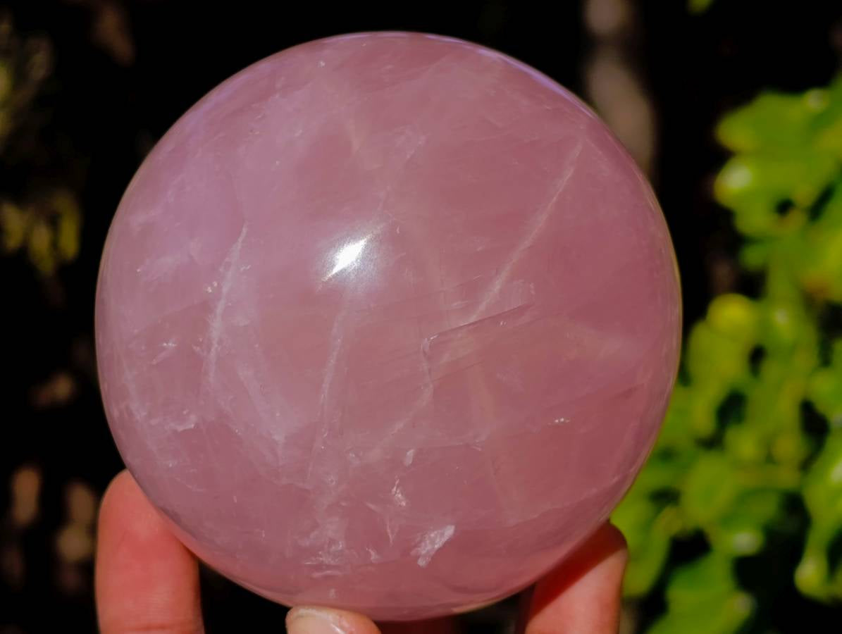 Polished Star Gemmy Rose Quartz Spheres x 2 From Madagascar - Toprock Gemstones and Minerals 