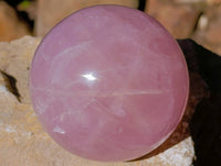 Polished Star Gemmy Rose Quartz Spheres x 2 From Madagascar