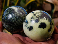 Polished Leopard Stone Spheres x 6 From Zimbabwe