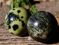 Polished Leopard Stone Spheres x 6 From Zimbabwe
