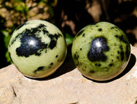 Polished Leopard Stone Spheres x 6 From Zimbabwe