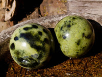 Polished Leopard Stone Spheres x 6 From Zimbabwe