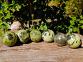 Polished Leopard Stone Spheres x 6 From Zimbabwe - Toprock Gemstones and Minerals 