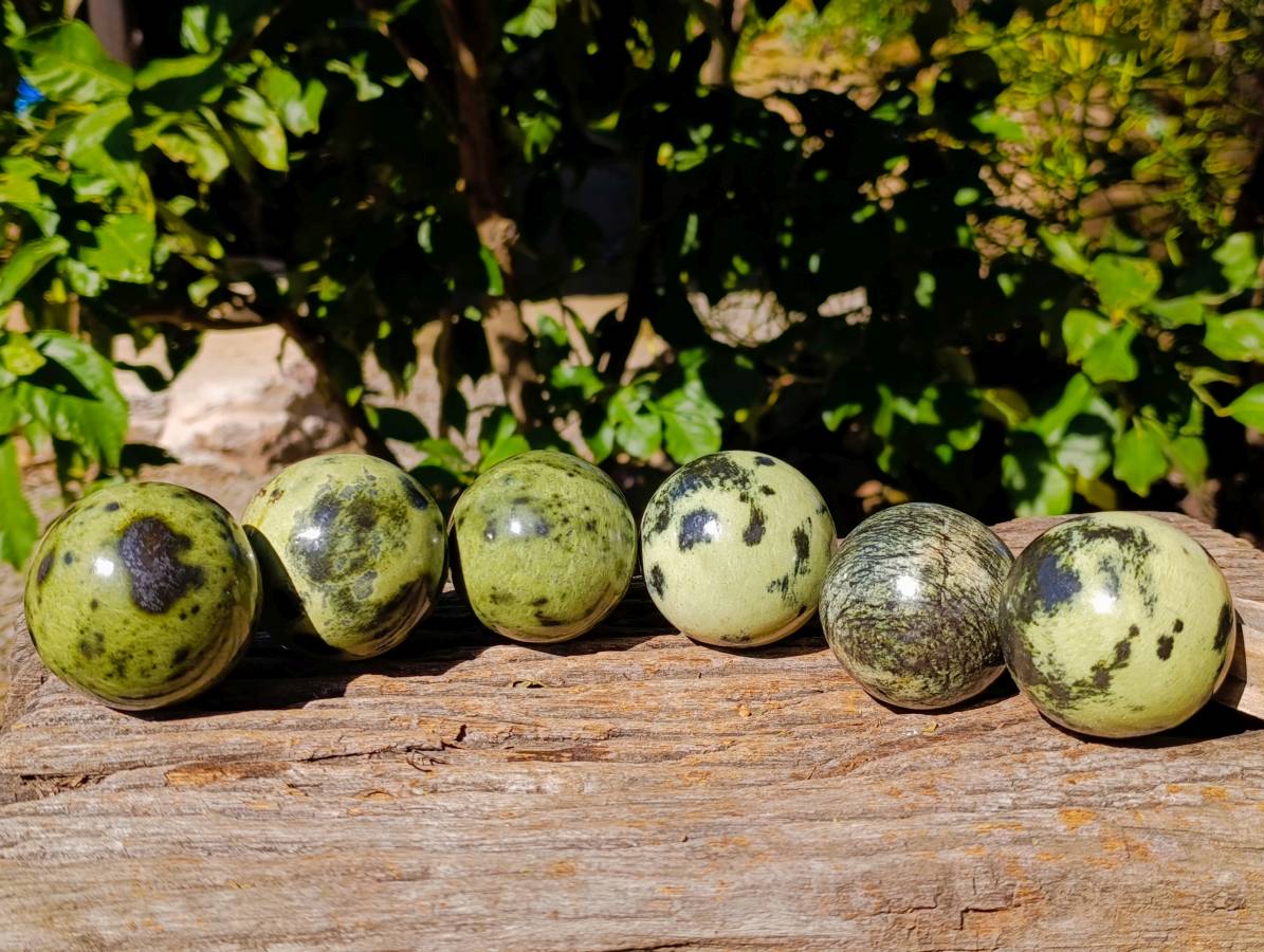 Polished Leopard Stone Spheres x 6 From Zimbabwe - Toprock Gemstones and Minerals 
