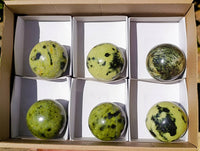 Polished Leopard Stone Spheres x 6 From Zimbabwe