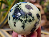 Polished Leopard Stone Spheres x 6 From Zimbabwe