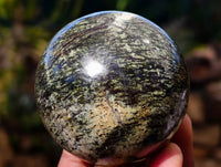 Polished Leopard Stone Spheres x 6 From Zimbabwe