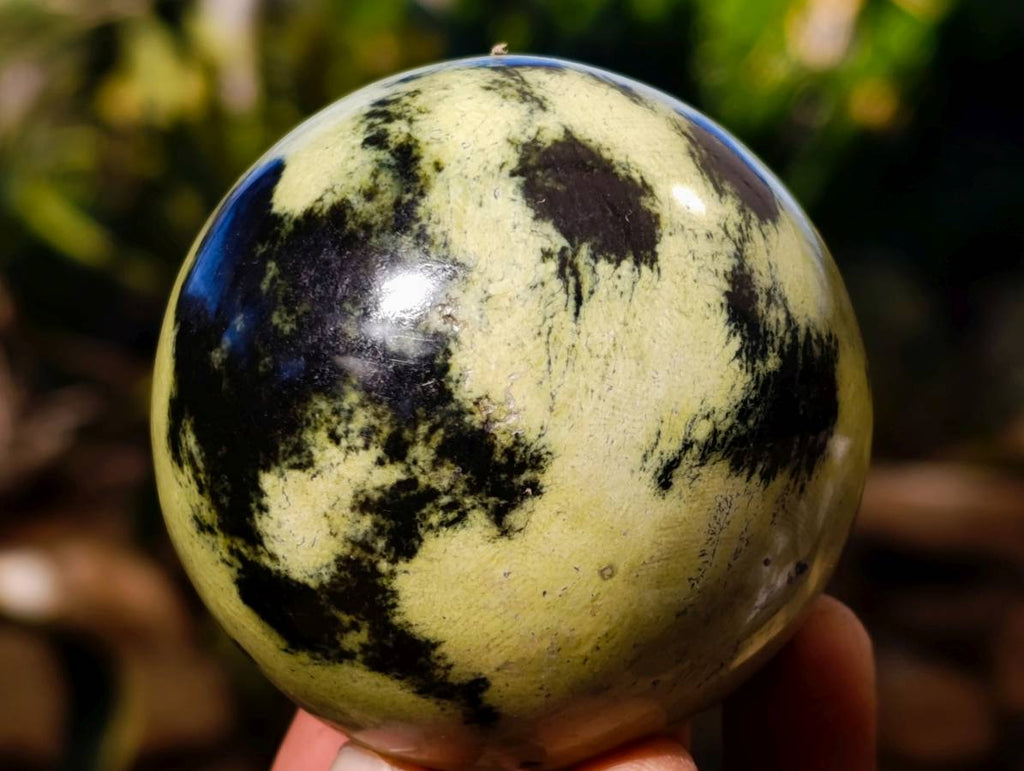 Polished Leopard Stone Spheres x 6 From Zimbabwe - Toprock Gemstones and Minerals 