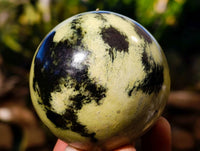 Polished Leopard Stone Spheres x 6 From Zimbabwe
