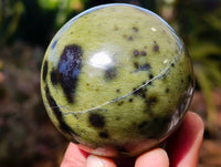 Polished Leopard Stone Spheres x 6 From Zimbabwe