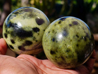 Polished Leopard Stone Spheres x 6 From Zimbabwe