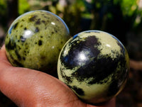 Polished Leopard Stone Spheres x 6 From Zimbabwe