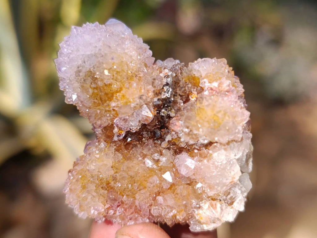 Natural Mixed Spirit Quartz Crystals x 35 From South Africa - Toprock Gemstones and Minerals 