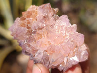 Natural Mixed Spirit Quartz Crystals x 35 From South Africa