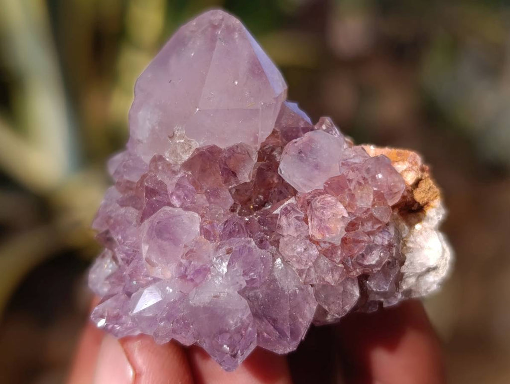 Natural Mixed Spirit Quartz Crystals x 35 From South Africa - Toprock Gemstones and Minerals 