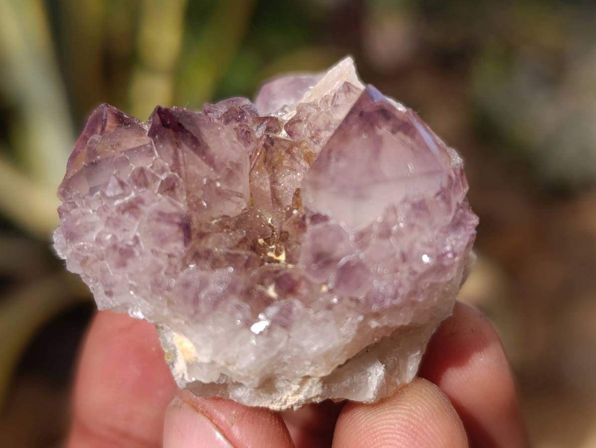 Natural Mixed Spirit Quartz Crystals x 35 From South Africa - Toprock Gemstones and Minerals 