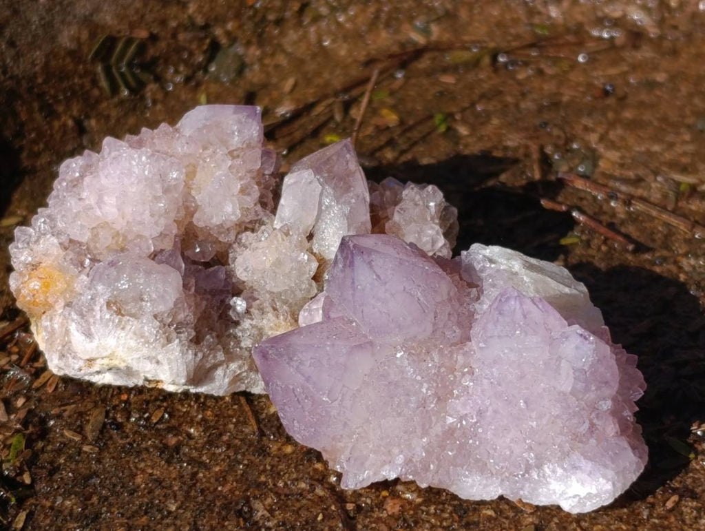 Natural Mixed Spirit Quartz Crystals x 35 From South Africa - Toprock Gemstones and Minerals 