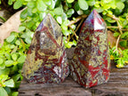 Natural Bastite Dragon Bloodstone Points x 2 From South Africa - Toprock Gemstones and Minerals 