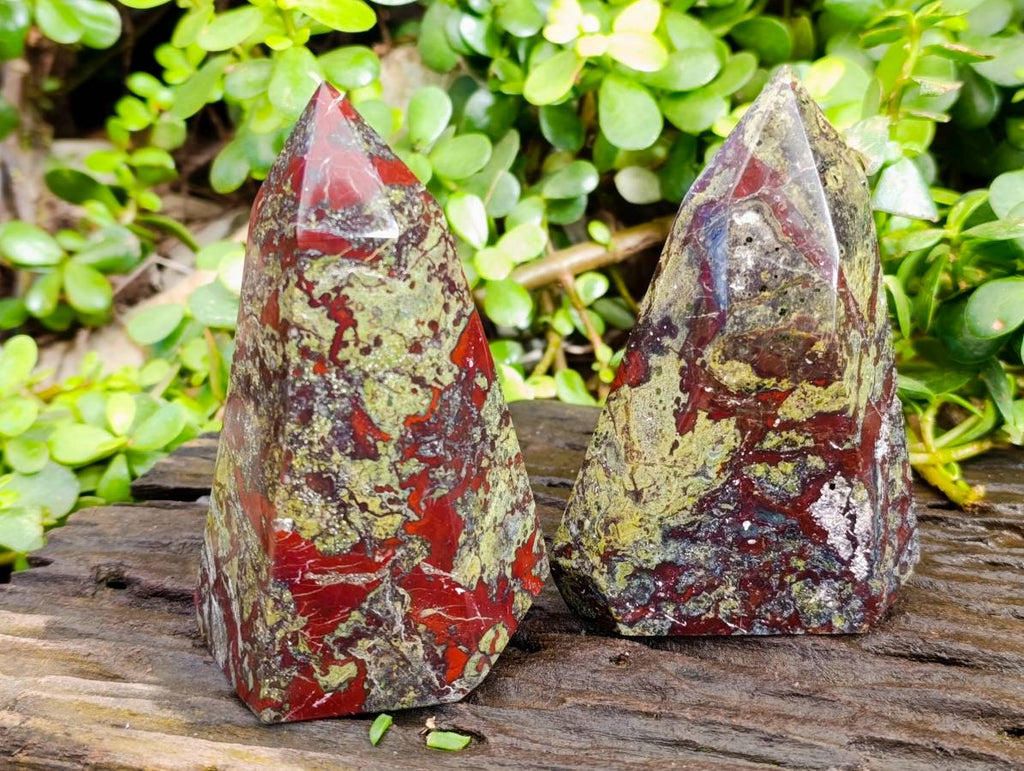 Natural Bastite Dragon Bloodstone Points x 2 From South Africa - Toprock Gemstones and Minerals 