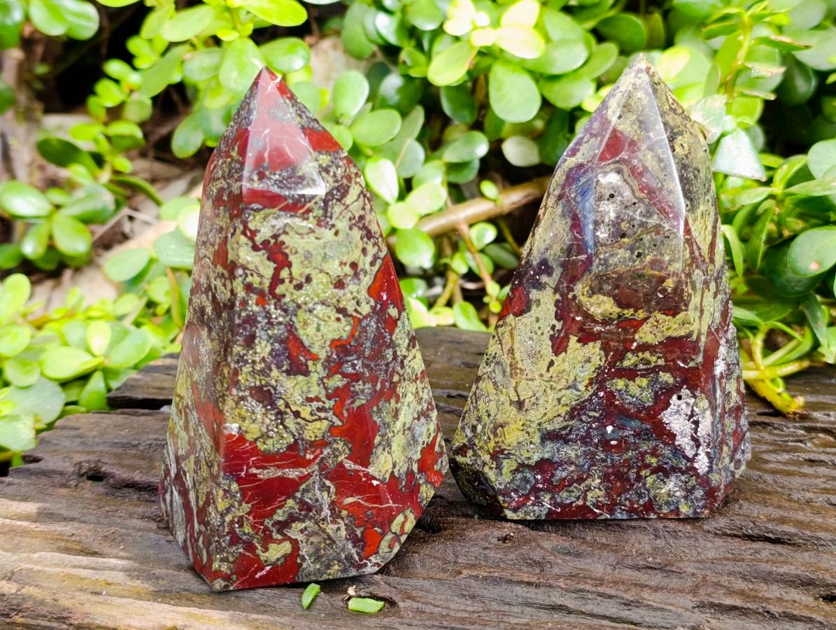 Natural Bastite Dragon Bloodstone Points x 2 From South Africa - Toprock Gemstones and Minerals 