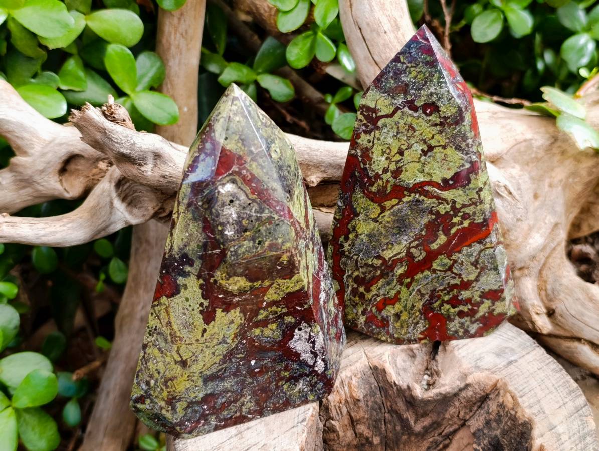 Natural Bastite Dragon Bloodstone Points x 2 From South Africa - Toprock Gemstones and Minerals 