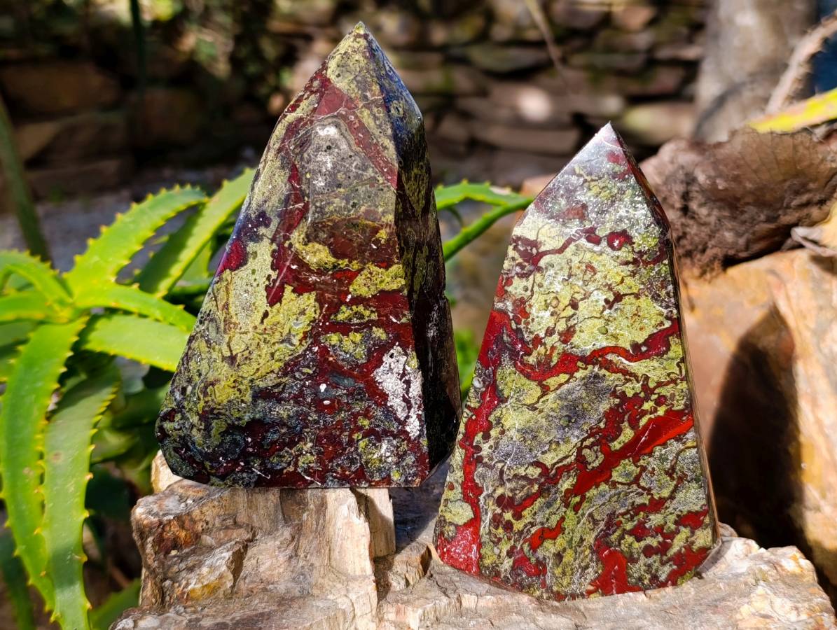 Natural Bastite Dragon Bloodstone Points x 2 From South Africa - Toprock Gemstones and Minerals 