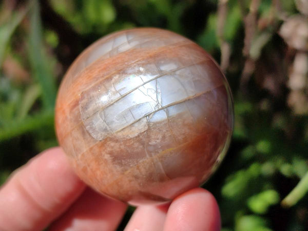 Polished Peach Moonstone Spheres x 6 From Madagascar