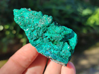 Natural Dioptase Crystals on Dolomite Matrix Specimens x 6 From Likasi, Congo