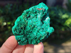 Natural Dioptase Crystals on Dolomite Matrix Specimens x 6 From Likasi, Congo - Toprock Gemstones and Minerals 