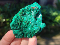 Natural Dioptase Crystals on Dolomite Matrix Specimens x 6 From Likasi, Congo