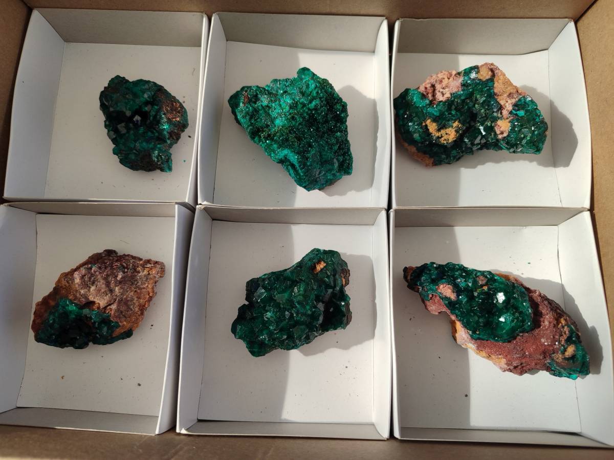 Natural Dioptase Crystals on Dolomite Matrix Specimens x 6 From Likasi, Congo - Toprock Gemstones and Minerals 