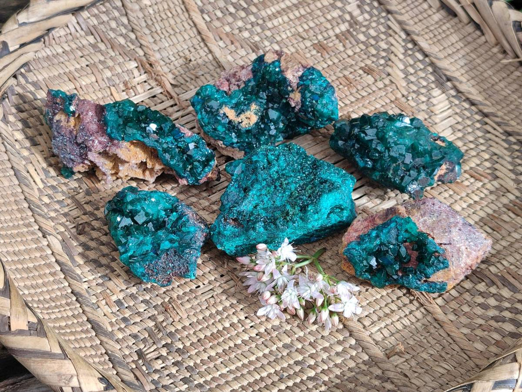 Natural Dioptase Crystals on Dolomite Matrix Specimens x 6 From Likasi, Congo - Toprock Gemstones and Minerals 