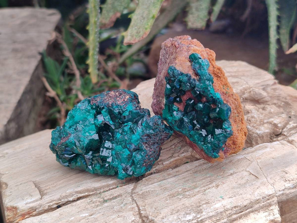 Natural Dioptase Crystals on Dolomite Matrix Specimens x 6 From Likasi, Congo - Toprock Gemstones and Minerals 