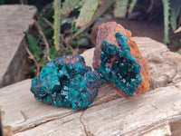 Natural Dioptase Crystals on Dolomite Matrix Specimens x 6 From Likasi, Congo